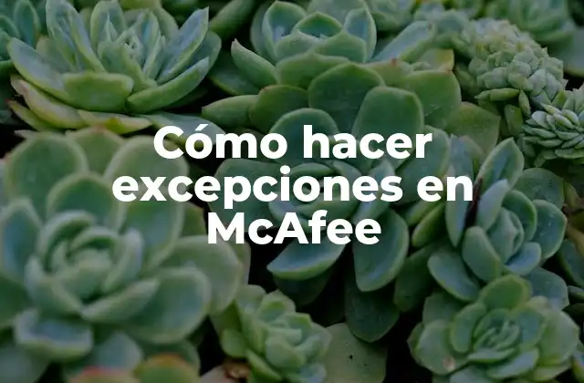 Cómo Hacer Excepciones en Mcafee