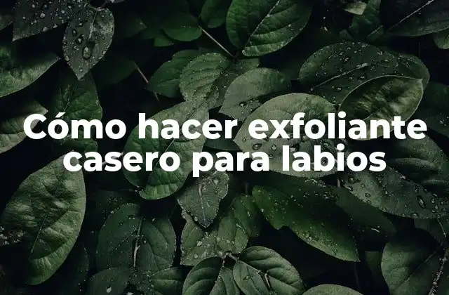 Cómo Hacer Exfoliante Casero para Labios