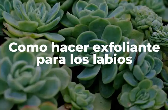 Como Hacer Exfoliante para los Labios