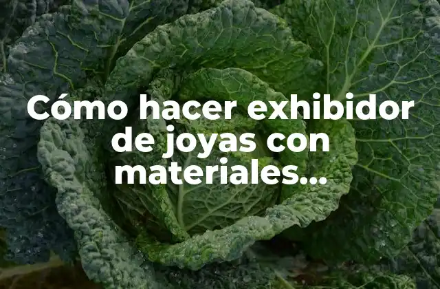 Cómo Hacer Exhibidor de Joyas con Materiales Desechables