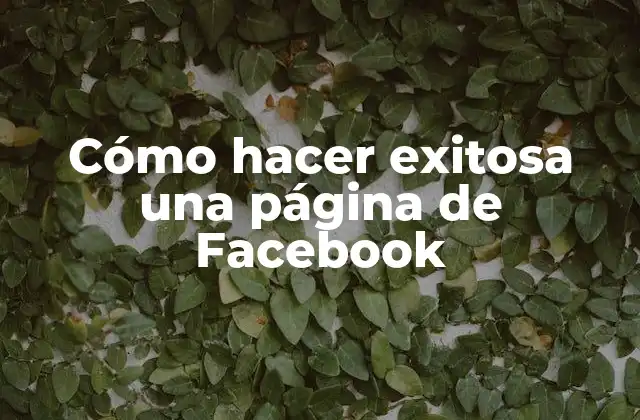 Cómo Hacer Exitosa una Página de Facebook