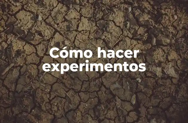 Cómo Hacer Experimentos