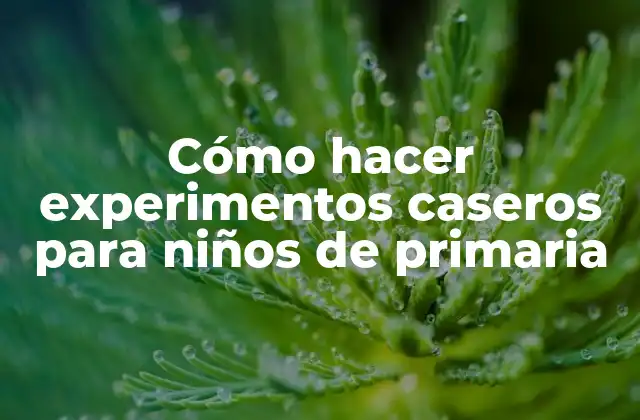 Cómo Hacer Experimentos Caseros para Niños de Primaria