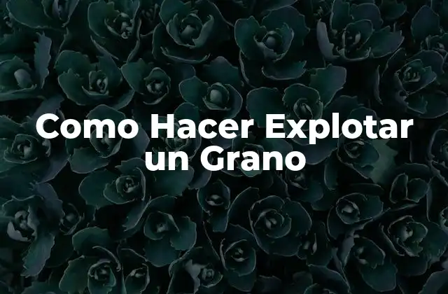 Como Hacer Explotar un Grano 2 ¿Qué es Hacer Explotar un Grano de Arroz?