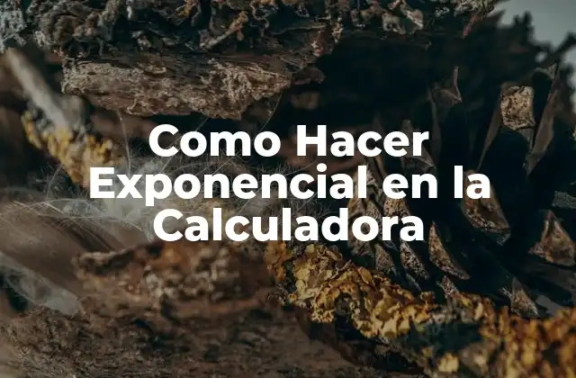 Como Hacer Exponencial en la Calculadora