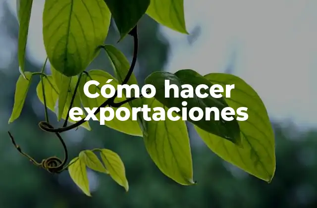Cómo Hacer Exportaciones