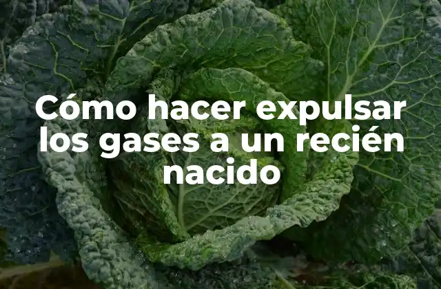 Cómo Hacer Expulsar los Gases a un Recién Nacido