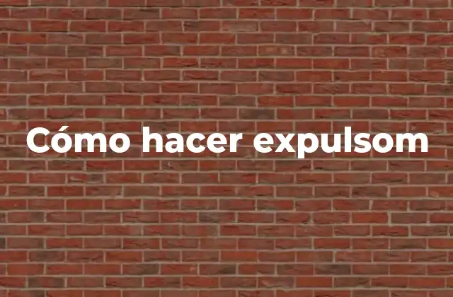 Cómo Hacer Expulsom 2 Qué es un expulsom y para qué sirve