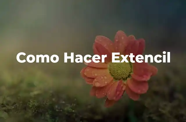 Como Hacer Extencil