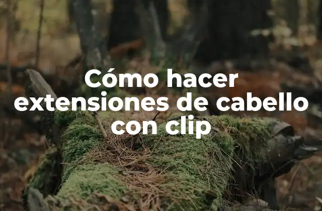 Cómo Hacer Extensiones de Cabello con Clip