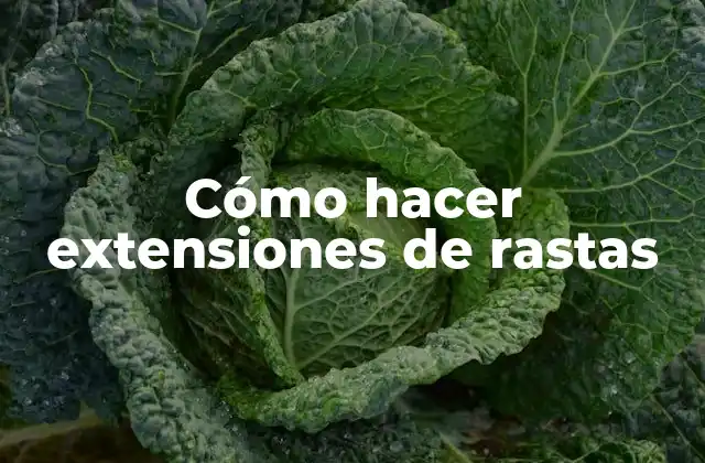 Cómo Hacer Extensiones de Rastas