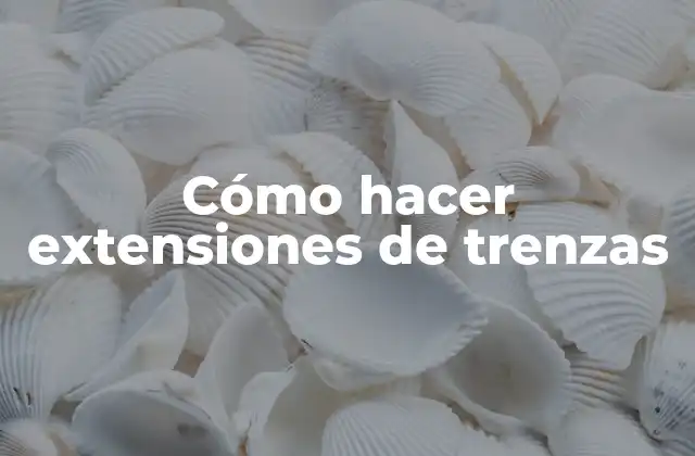 Cómo Hacer Extensiones de Trenzas