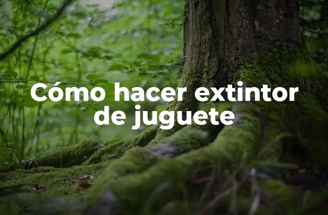 Cómo Hacer Extintor de Juguete