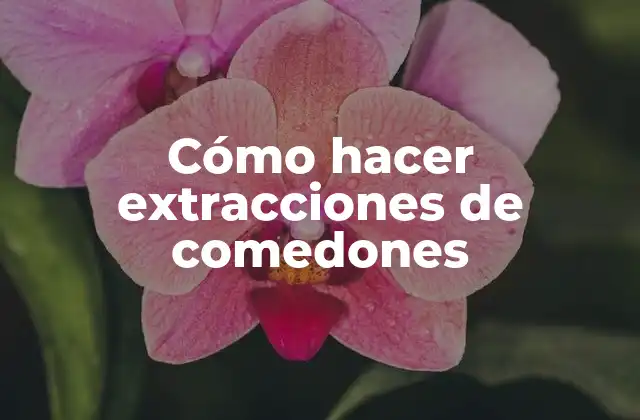 Cómo Hacer Extracciones de Comedones