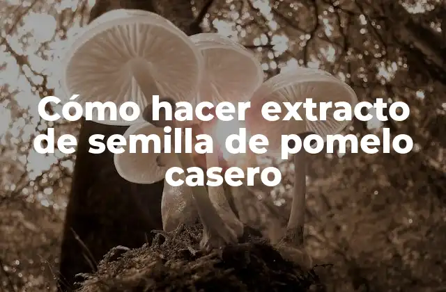 Cómo Hacer Extracto de Semilla de Pomelo Casero