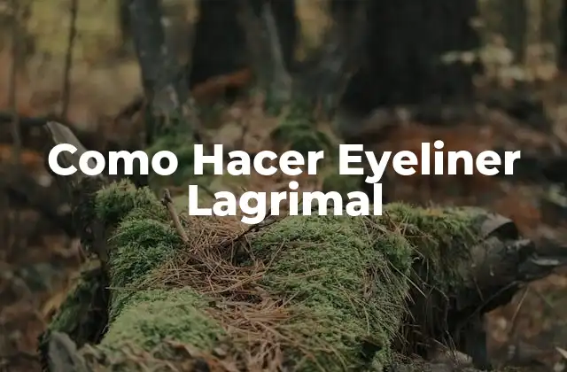 Como Hacer Eyeliner Lagrimal