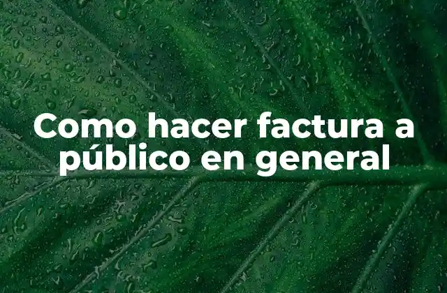 Como Hacer Factura a Público en General