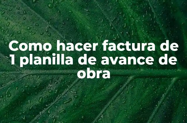 Como Hacer Factura de 1 Planilla de Avance de Obra