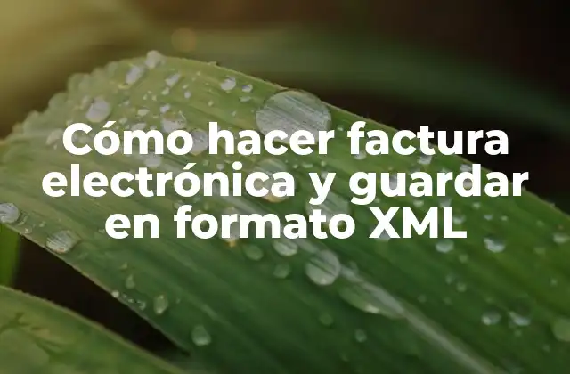 Cómo hacer factura electrónica y guardar en formato XML