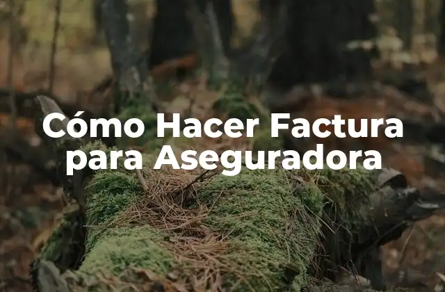Cómo Hacer Factura para Aseguradora