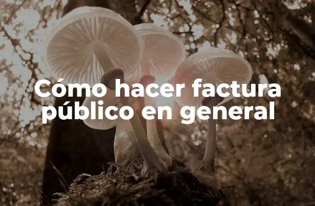 Cómo Hacer Factura Público en General