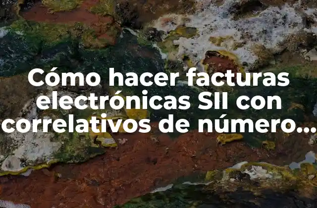 Cómo Hacer Facturas Electrónicas Sii con Correlativos de Número de Factura