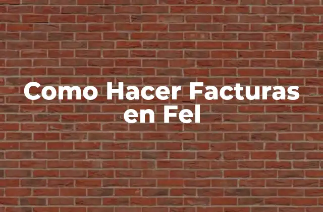 Como Hacer Facturas en Fel