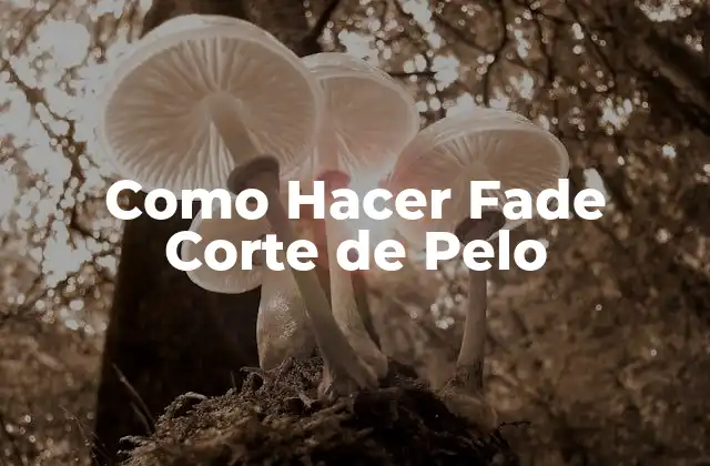 Como Hacer Fade Corte de Pelo