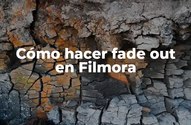 Cómo Hacer Fade Out en Filmora