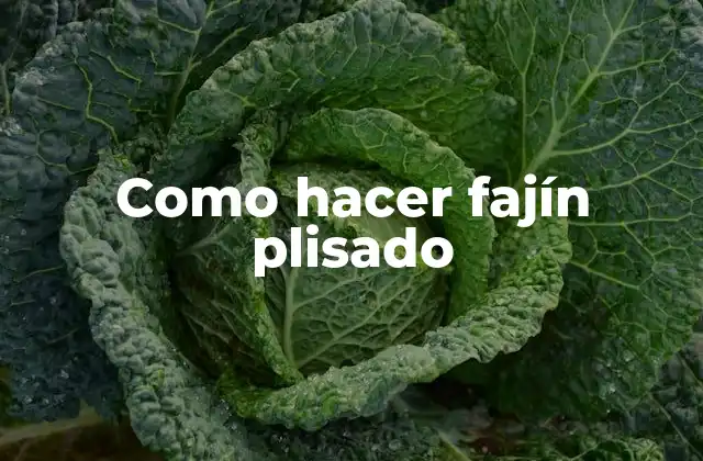 Como Hacer Fajín Plisado