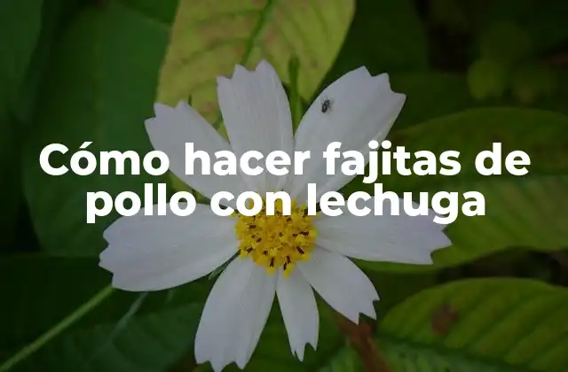 Fajitas de pollo con lechuga: una deliciosa combinación de sabores