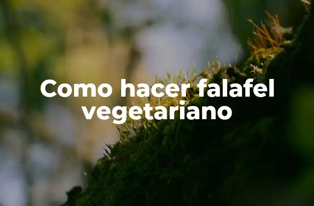 Como Hacer Falafel Vegetariano