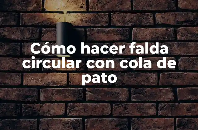 ¿Qué es una falda circular con cola de pato?