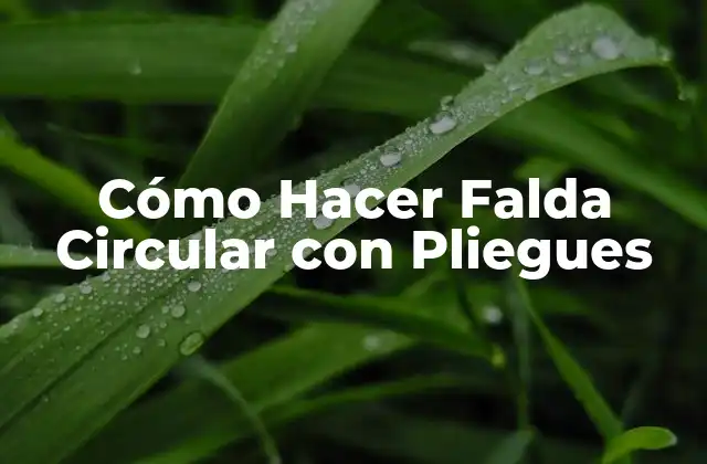 Cómo Hacer Falda Circular con Pliegues