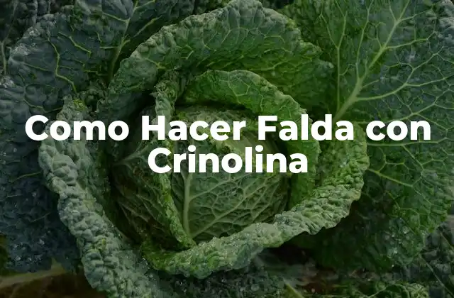 Como Hacer Falda con Crinolina
