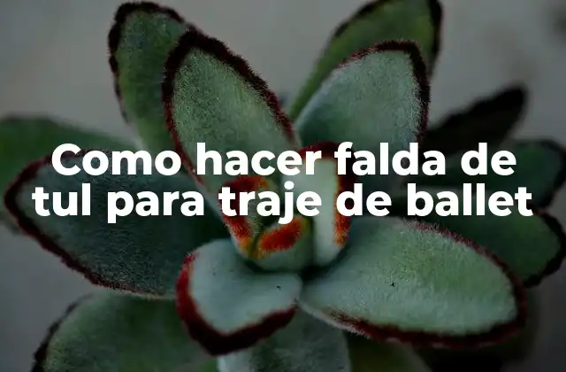 Como Hacer Falda de Tul para Traje de Ballet