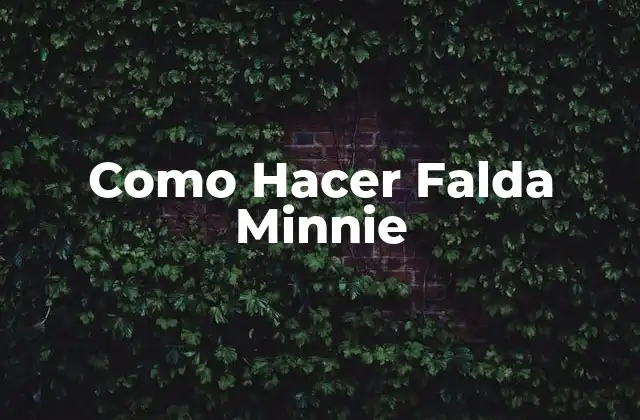 Como Hacer Falda Minnie