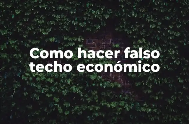 Como Hacer Falso Techo Económico
