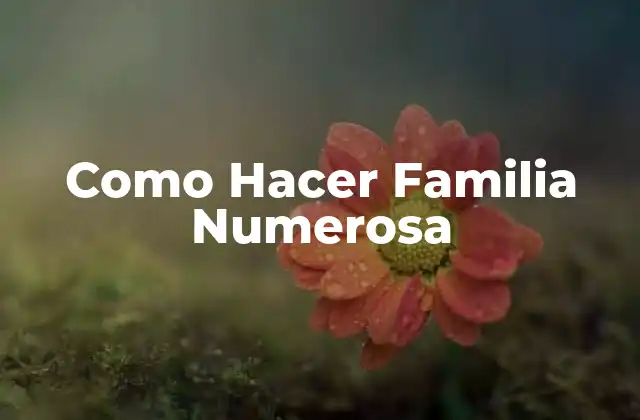 Como Hacer Familia Numerosa