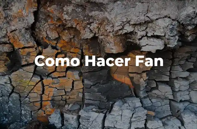 Que es un Fan y como Funciona