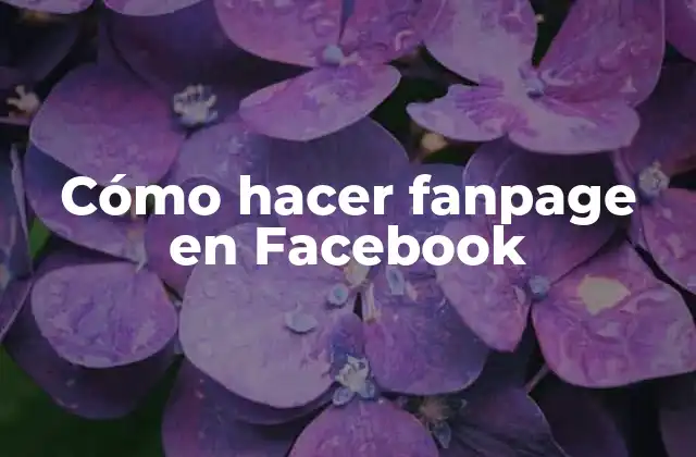 Cómo Hacer Fanpage en Facebook