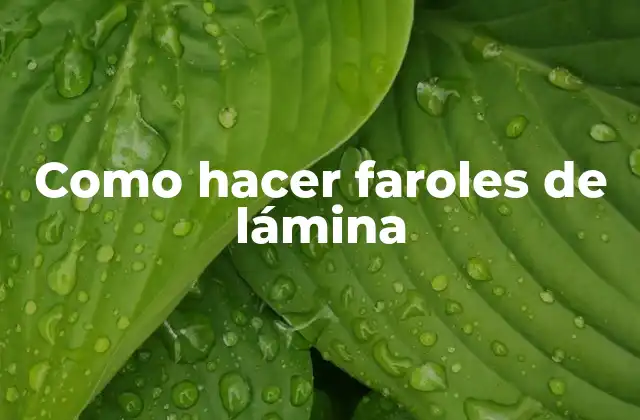 Faroles de lámina: ¿Qué son y para qué sirven?