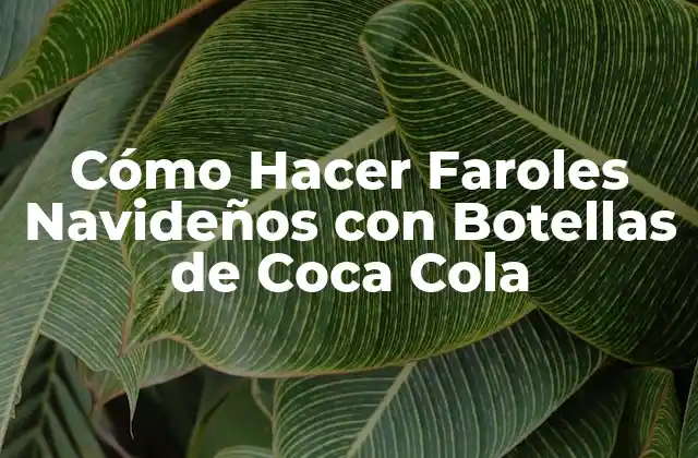 Cómo Hacer Faroles Navideños con Botellas de Coca Cola 2 Cómo Hacer Faroles Navideños con Botellas de Coca Cola