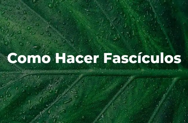 Como Hacer Fascículos 2 ¿Qué son los Fascículos?