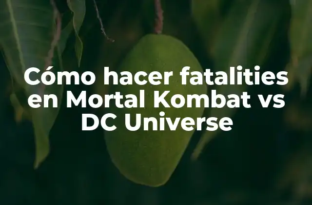 Cómo Hacer Fatalities en Mortal Kombat Vs Dc Universe