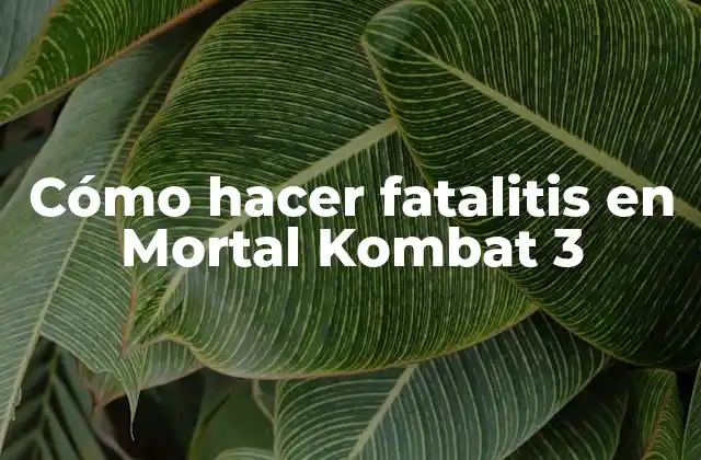 Cómo Hacer Fatalitis en Mortal Kombat 3