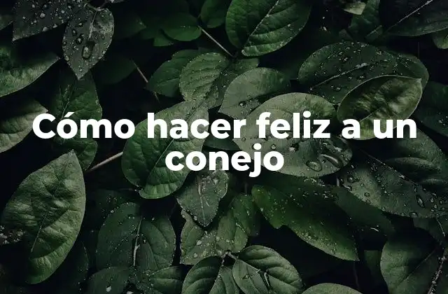 Cómo Hacer Feliz a un Conejo