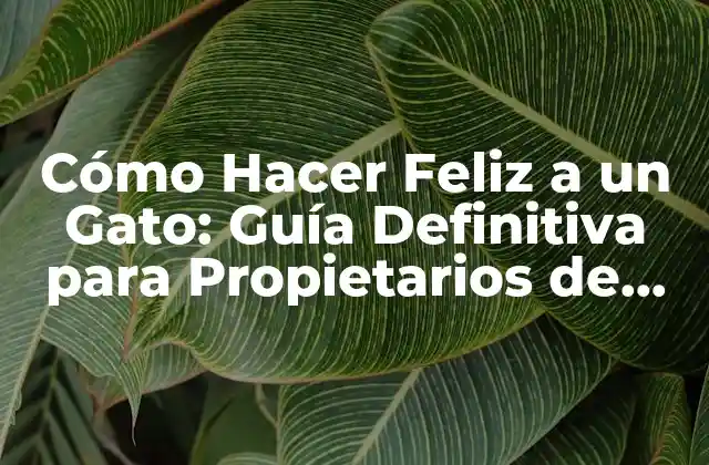 Cómo Hacer Feliz a un Gato: Guía Definitiva para Propietarios de Felinos