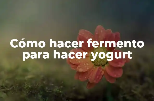 Cómo Hacer Fermento para Hacer Yogurt