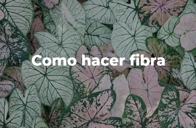 Como Hacer Fibra